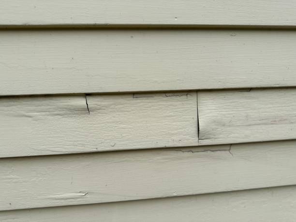 Best Engineered Wood Siding  in Muscoy, CA